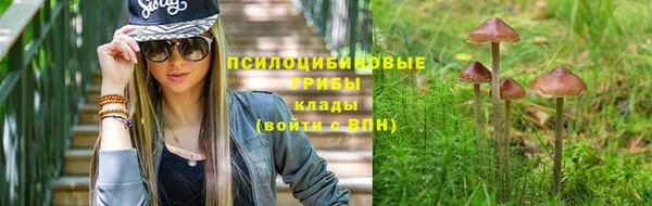 ALPHA PVP Алексеевка
